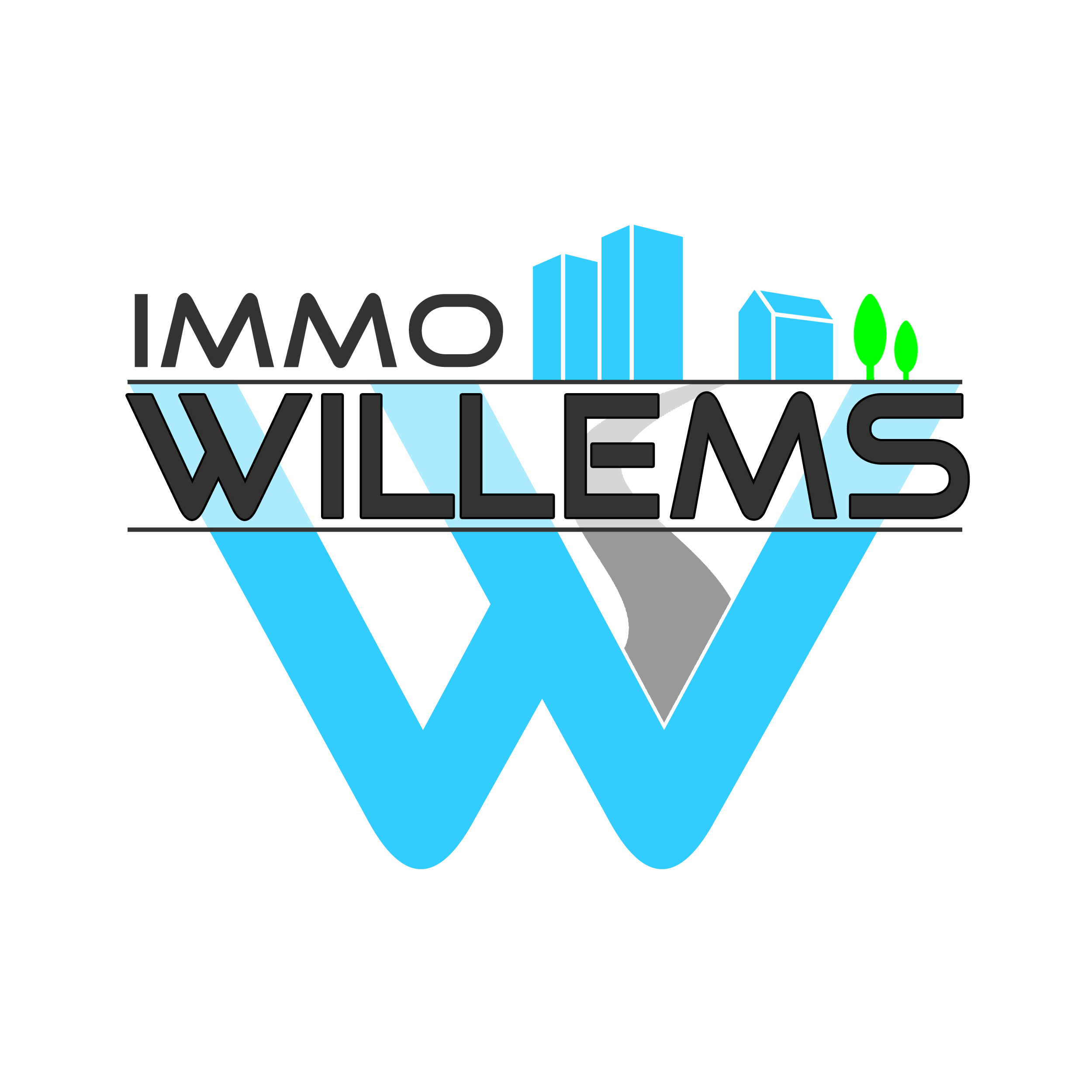 Logo van Immo Willems BV