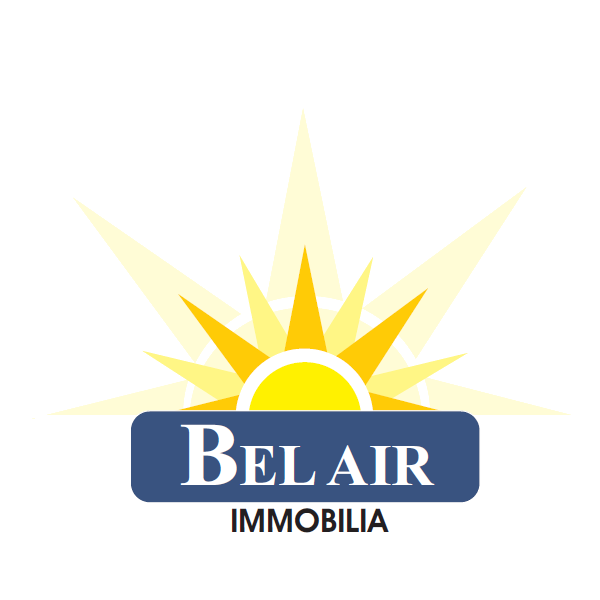 Logo van Immo Bel Air NV