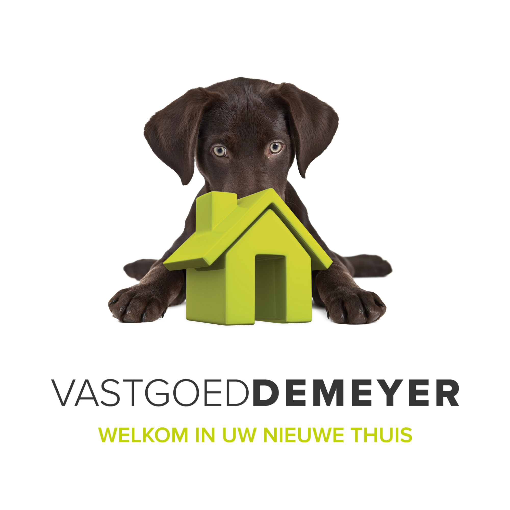 Logo van VASTGOED DEMEYER