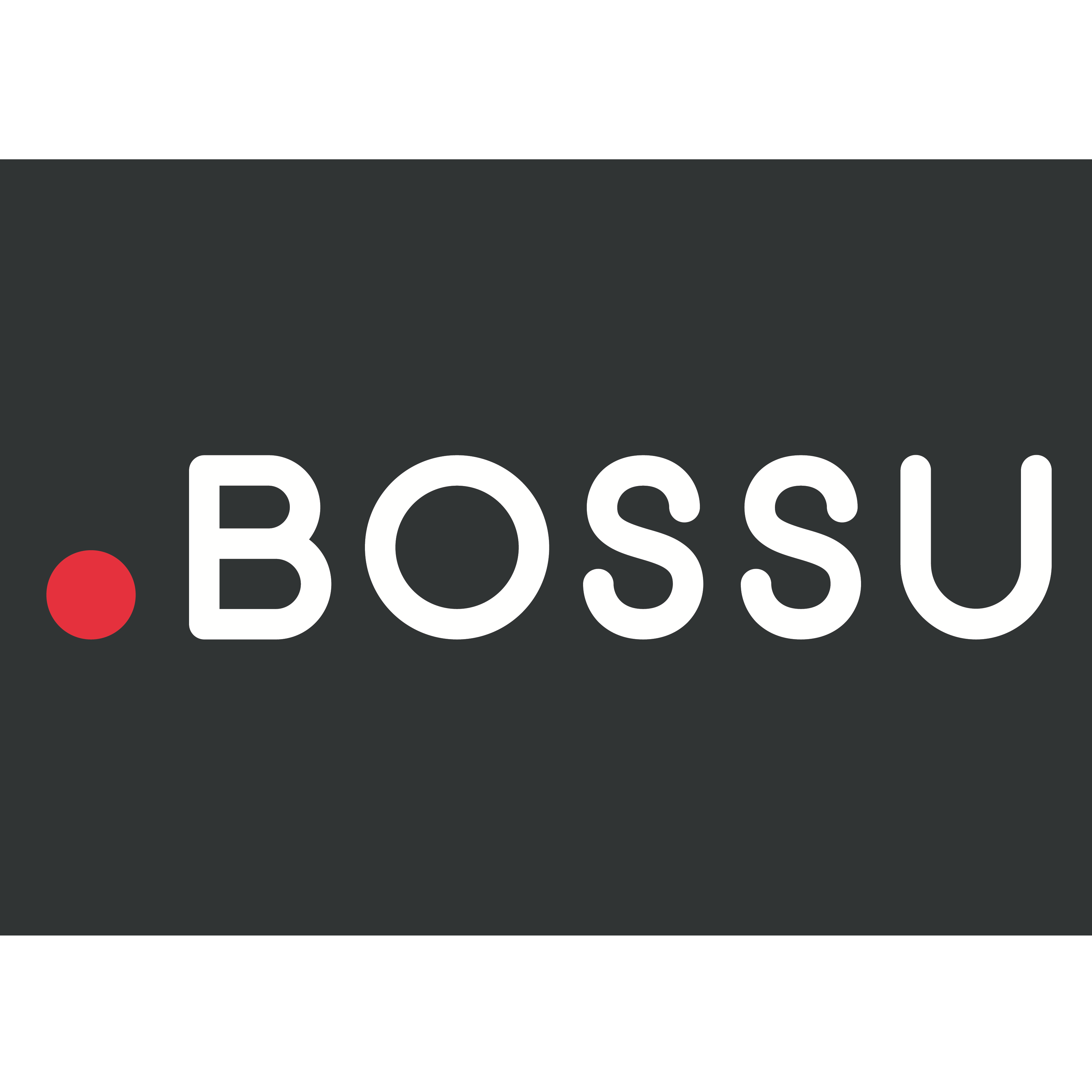Logo van Immo-Bossu nv