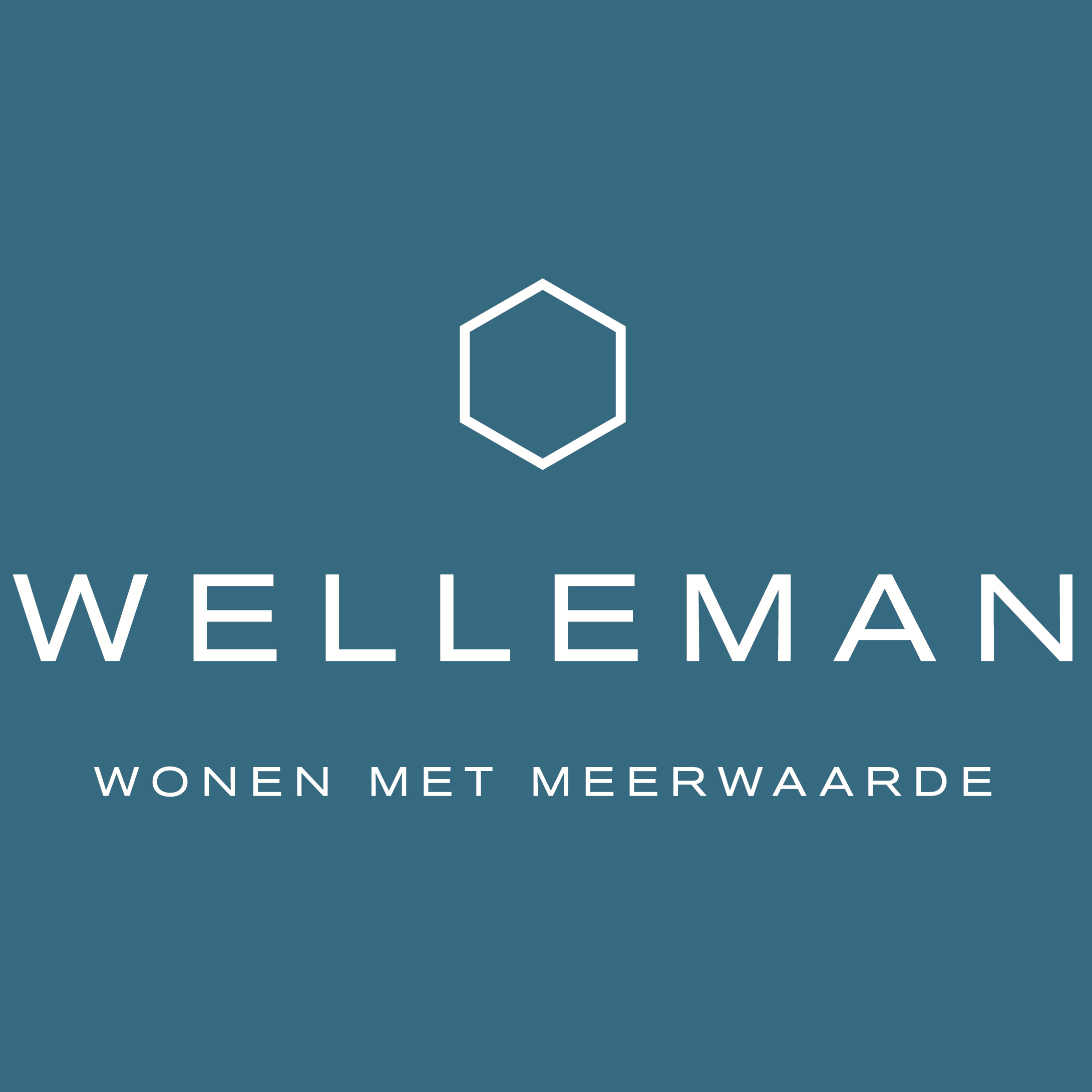 Logo van Welleman bvba