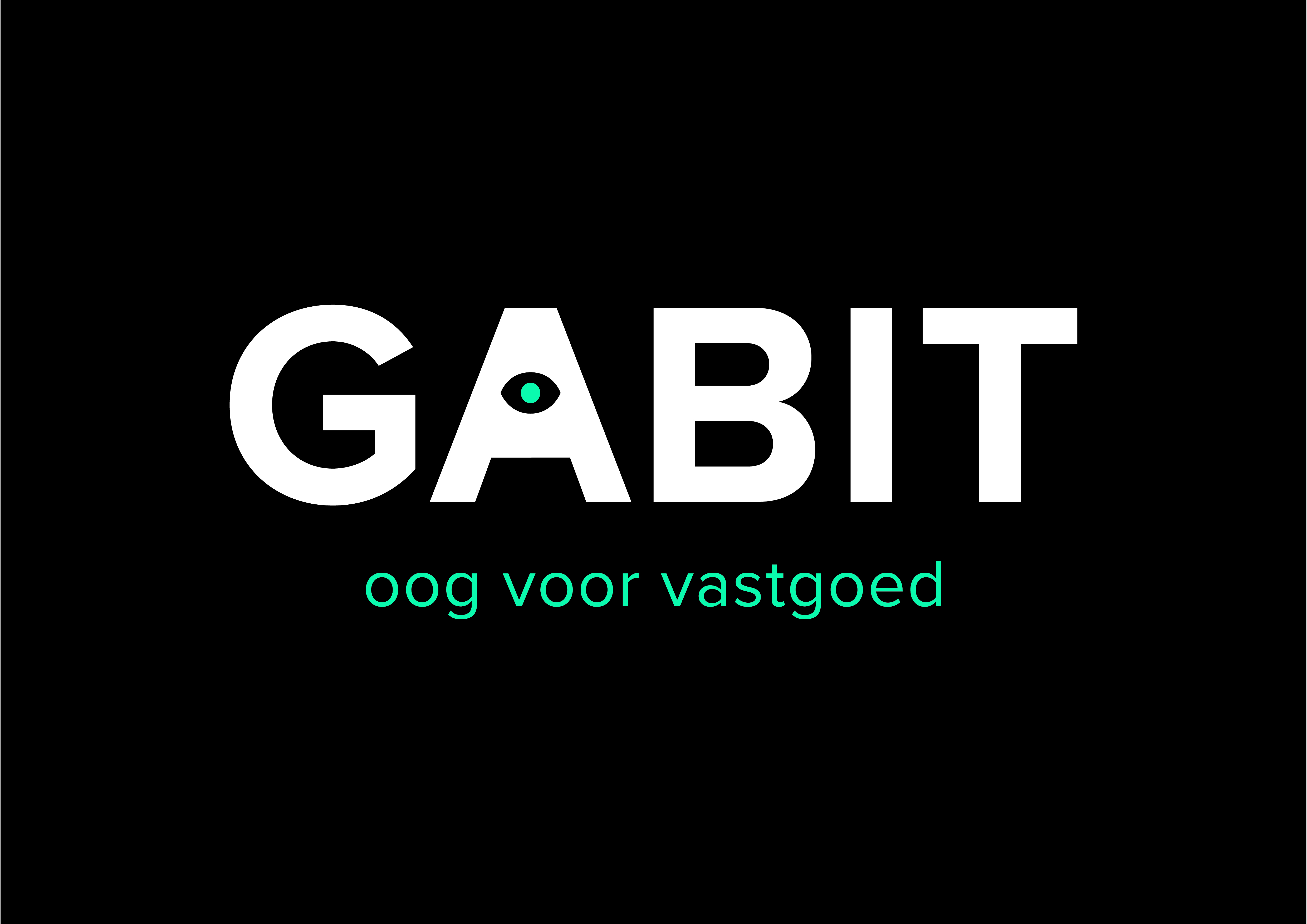 Logo van Gabit
